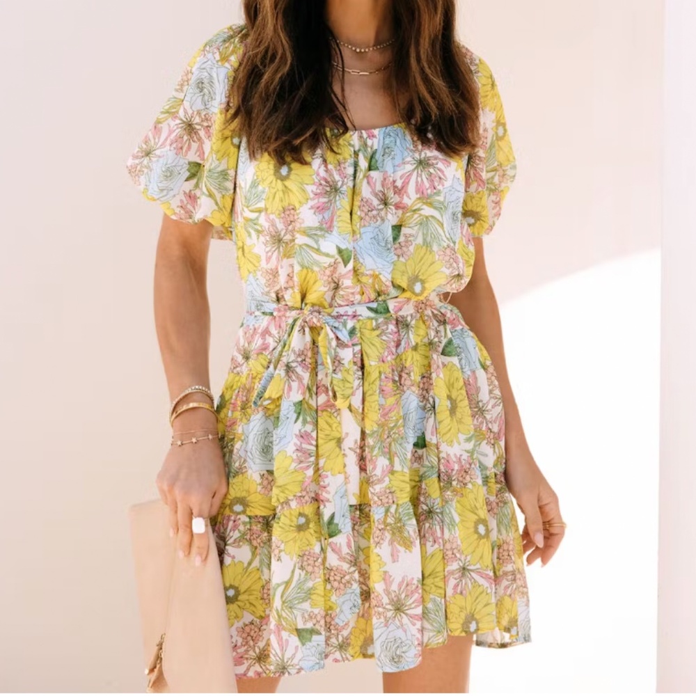 NWT Wish Upon A Petal Chiffon Puff Sleeve Mini Dress - Vici Size Small